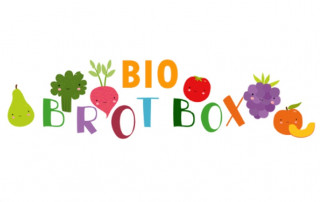 Logo Organic Lunch Box Kids main issues