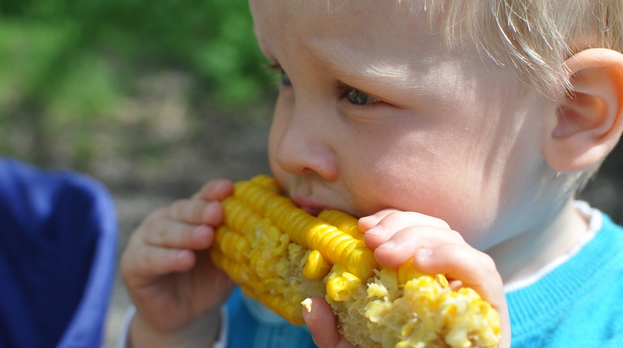 Child eating sweetcorn - Covid-19 - Paris helps families pay for organic food